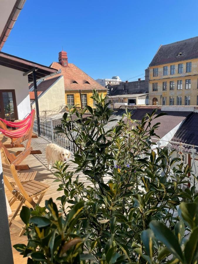 Nordic Home Sibiu Luaran gambar